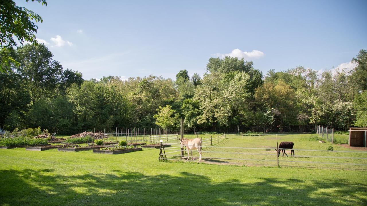 La Collina Delle Mignole Villa Moruzzo Eksteriør bilde